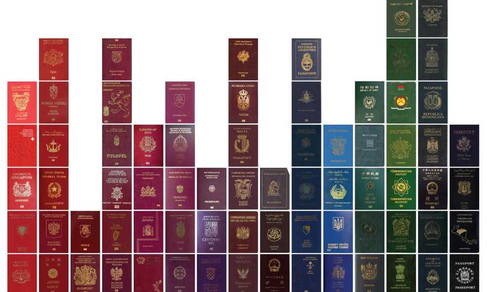 Синий паспорт какая страна