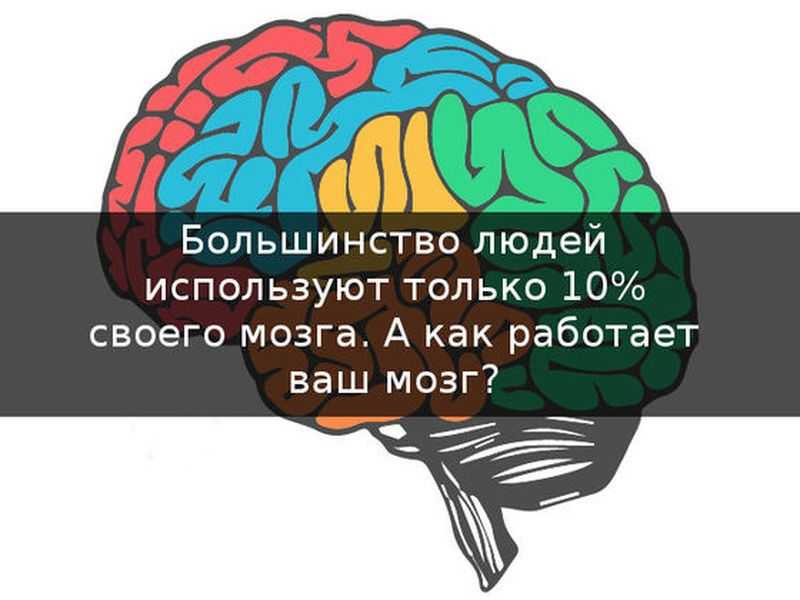 10 процентов мозга. Возможности человеческого мозга. Мозг работает. Способности человеческого мозга.