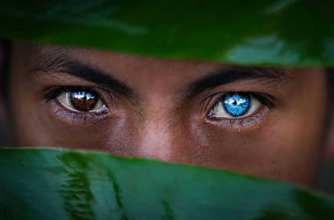 Характеристика людей с зелеными глазами. сколько людей с зелеными глазами в мире?