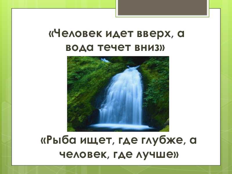 Новое в блогах