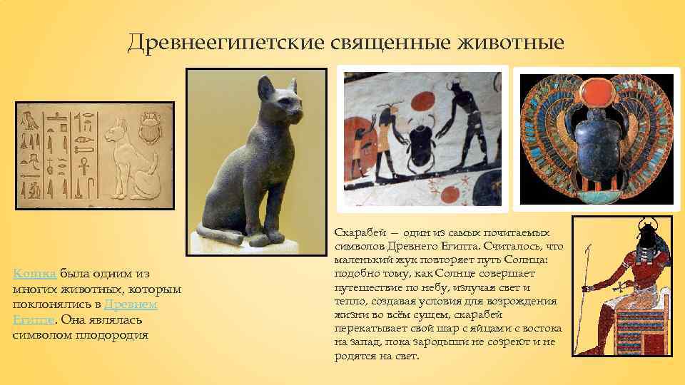 В египте поклонялись кошкам. Священные животные древнего Египта. Священные животные в древнем Египте 5 класс. Какие животные в древнем Египте считались священными. Священные животные древнего Египта кошка.