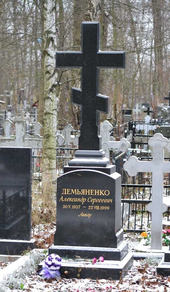 Александр демьяненко: биография актера, личная жизнь, жена, дети, причина смерти, фильмы