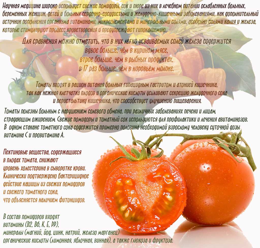 Можно ли помидор при грудном. Полезные свойства томатов. Польза помидоров. Польза и вред томатов. Что полезного в помидорах.