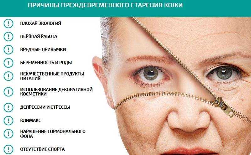 Аристократическая внешность девушки признаки. какой должна быть аристократическая внешность