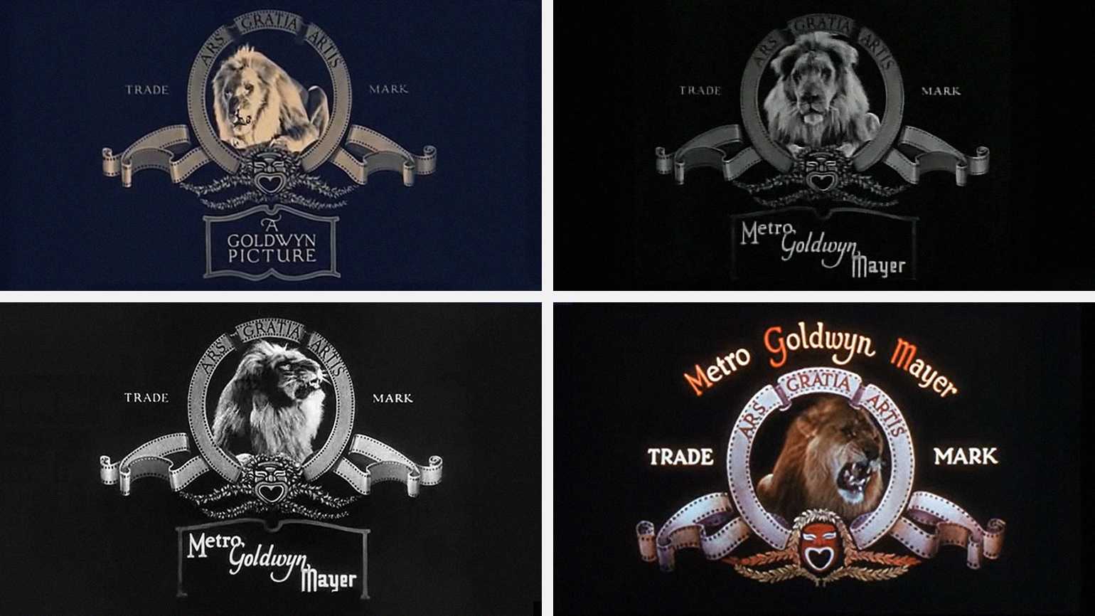 Логотипы львов – 20 вдохновляющих лого крупных компаний