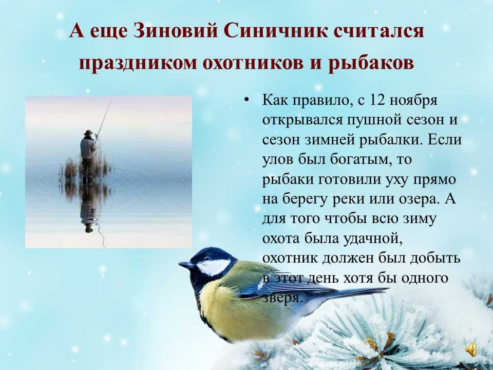 Синичкин день — история праздника, приметы и традиции