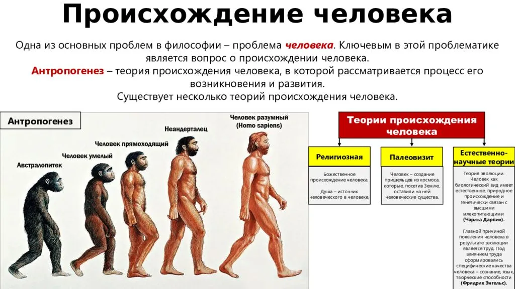 Группы изучения эволюции