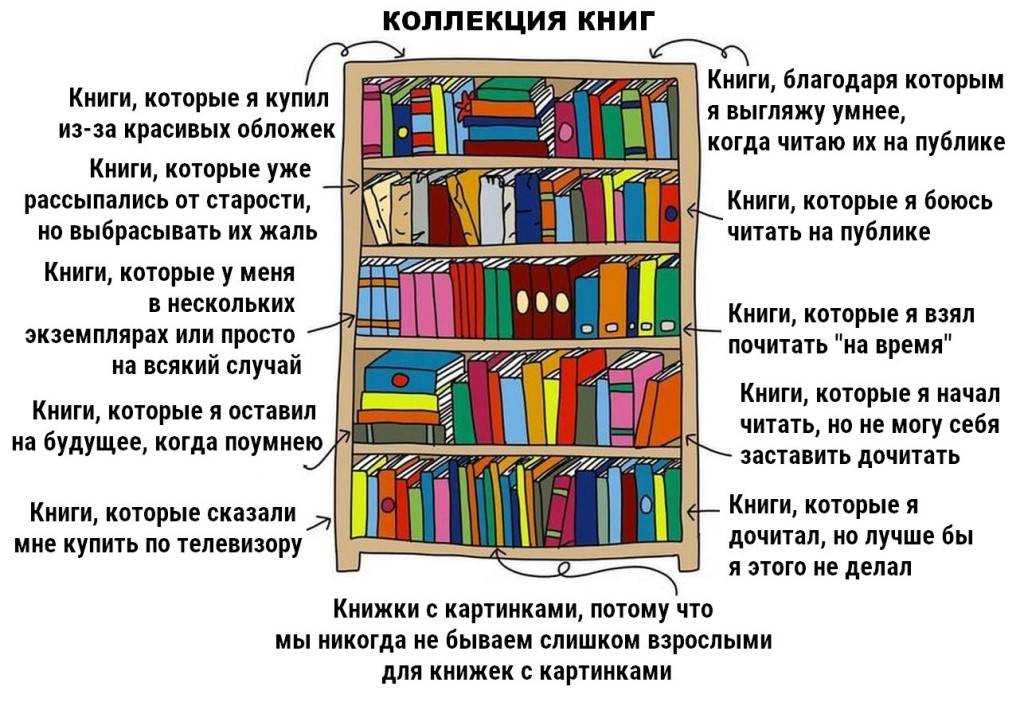 Чего боятся книги и как их правильно хранить