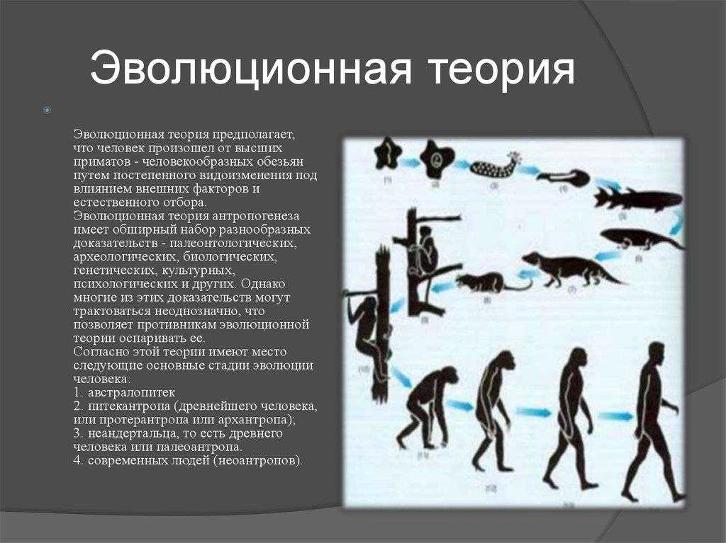 Русские ученые-биологи и их открытия :: syl.ru