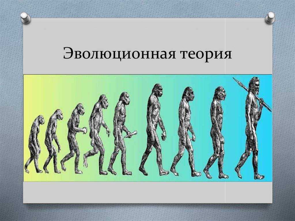 5 самых великих ученых в истории человечества - hi-news.ru