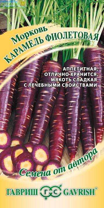 Удивительна фиолетовая морковь / асиенда.ру