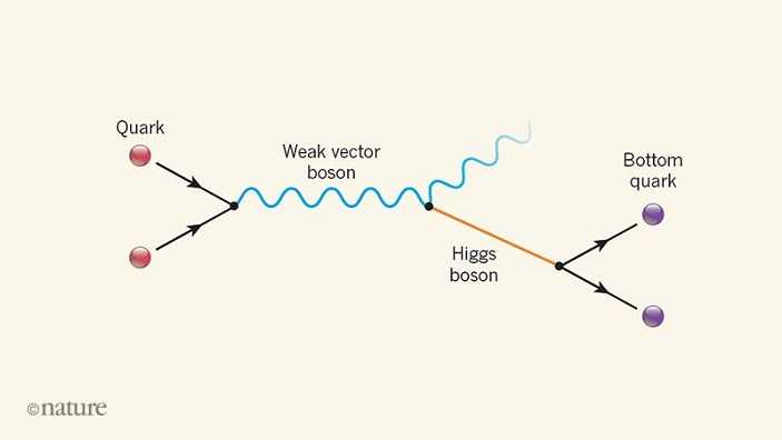 Что такое бозон хиггса? открытие «частицы бога» в большом адронном коллайдере